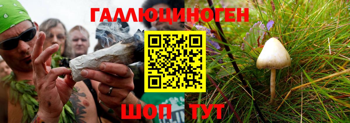 Кандалакша  Псилоцибиновые грибы мицелий  Вход с VPN  Галлюциногенные грибы MAGIC MUSHROOMS 